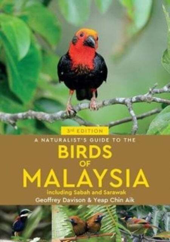 A Naturalist's Guide To Birds of Malaysia (3rd edition) av Geoffrey Davison, Yeap Chin Aik