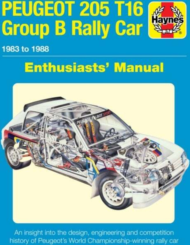 Peugeot 205 T16 Group B Rally Car av Nick Garton