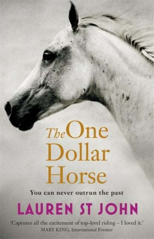 The One Dollar Horse av Lauren St John