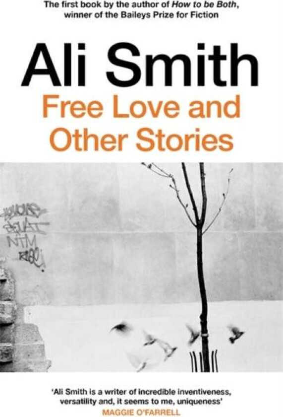 Free love and other stories av Ali Smith