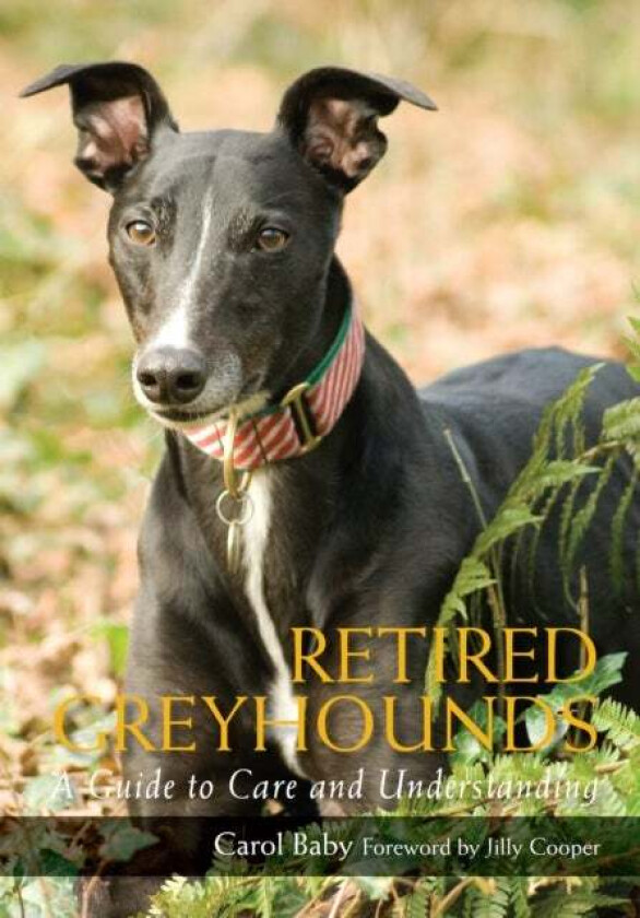 Retired Greyhounds av Carol Baby