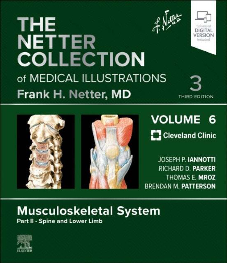 The Netter Collection Of Medical Illustrations: Musculoskeletal System, Volume 6, Part Ii - Spine An