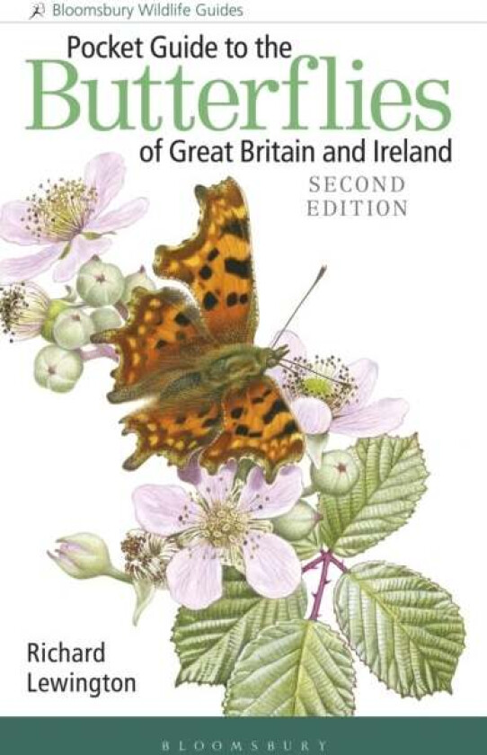 Pocket Guide to the Butterflies of Great Britain and Ireland av Richard Lewington