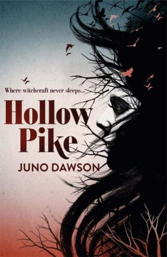 Hollow Pike av Juno Dawson