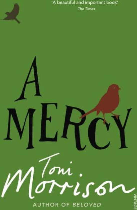 A Mercy av Toni Morrison