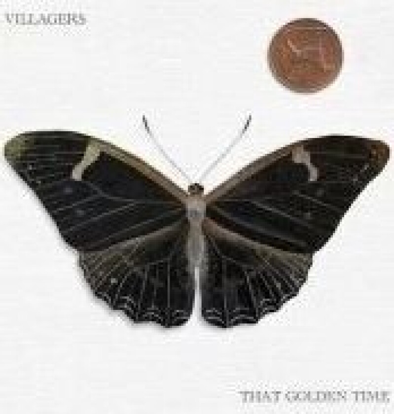 Villagers - That Golden Time