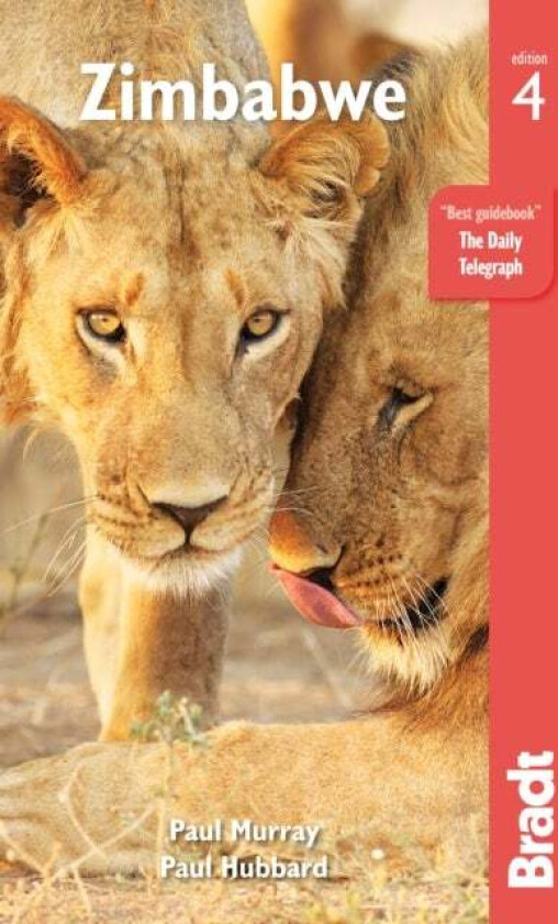 Zimbabwe av Paul Murray, Paul Hubbard