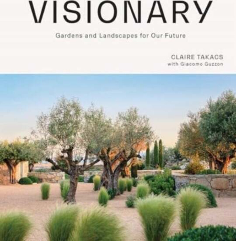 Visionary av Claire Takacs