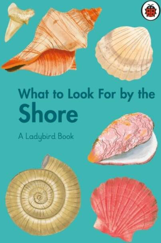 What To Look For By The Shore Av Becky Brown