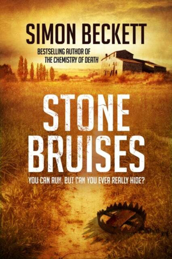 Stone Bruises av Simon Beckett