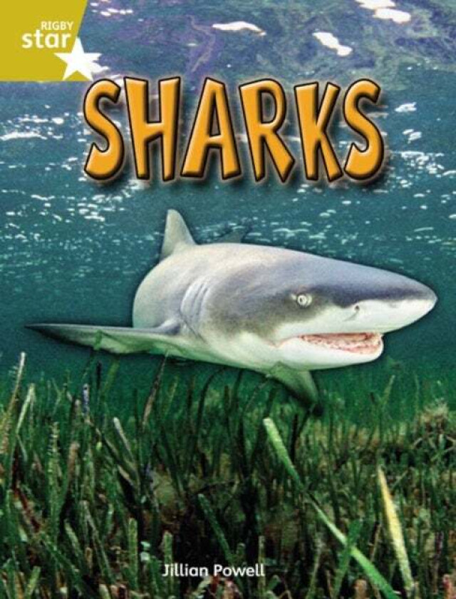 Rigby Star Independent Year 2 Gold Non Fiction Sharks Single av Jillian Powell