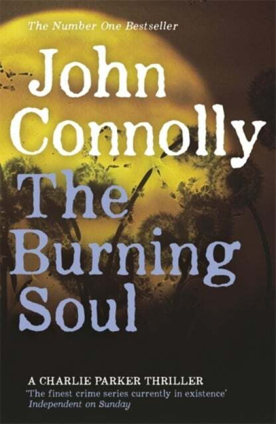 The Burning Soul av John Connolly