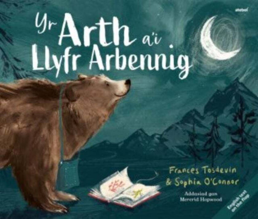 Arth a'i Llyfr Arbennig, Yr / Bear and her Book, The av Frances Tosdevin