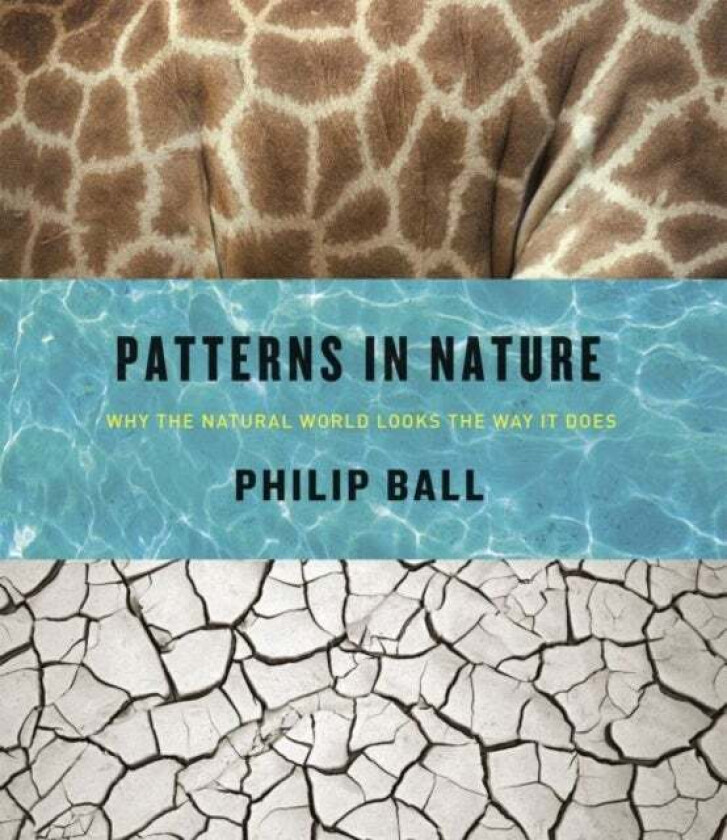 Patterns in Nature av Philip Ball