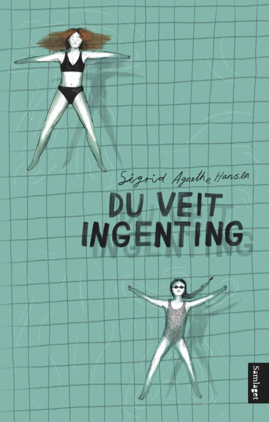 Du veit ingenting av Sigrid Agnethe Hansen