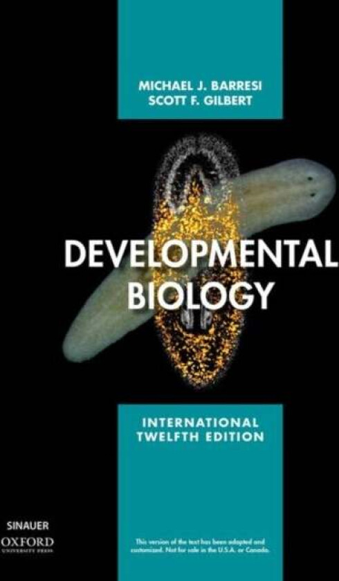 Developmental Biology av Michael J.F. (Professor of Biological Sciences Professor of Biological Sciences Smith College) Barresi, Scott F. (Howard A. S