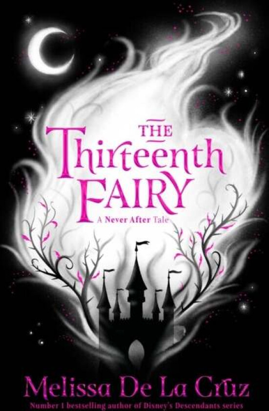 The Thirteenth Fairy av Melissa de la Cruz