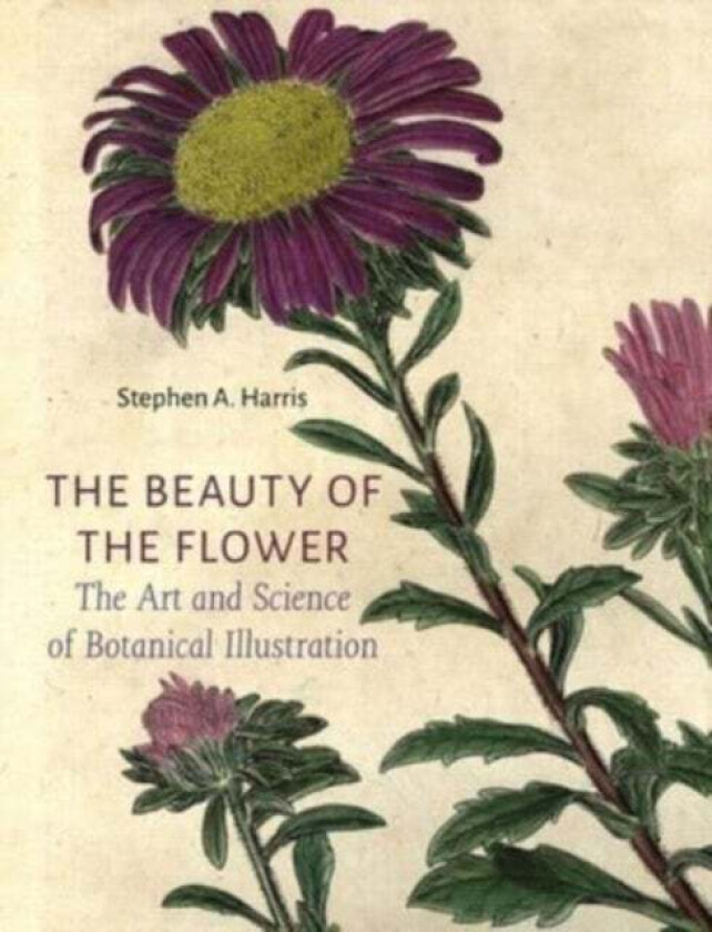 The Beauty of the Flower av Stephen A Harris