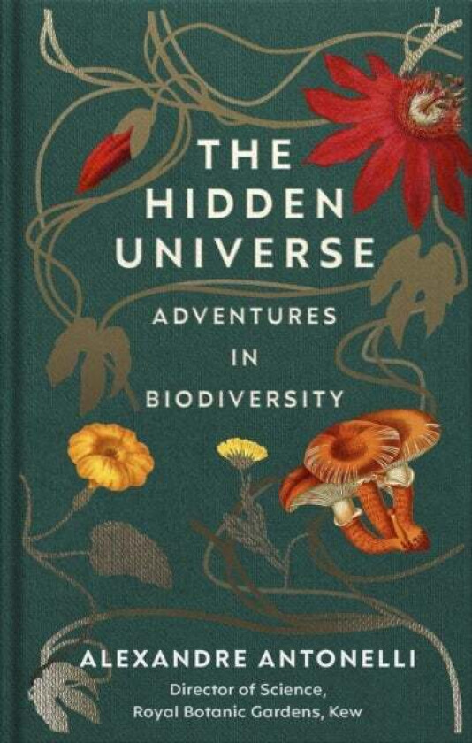 The Hidden Universe av Alexandre Antonelli