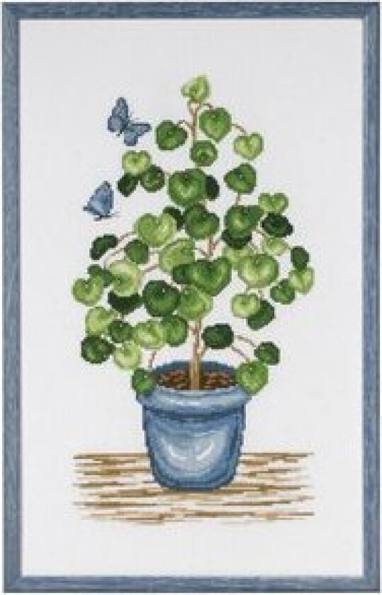 Broderipakke Bilde Pilea