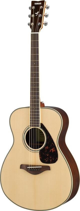 FS830 Acoustic Guitar Natural