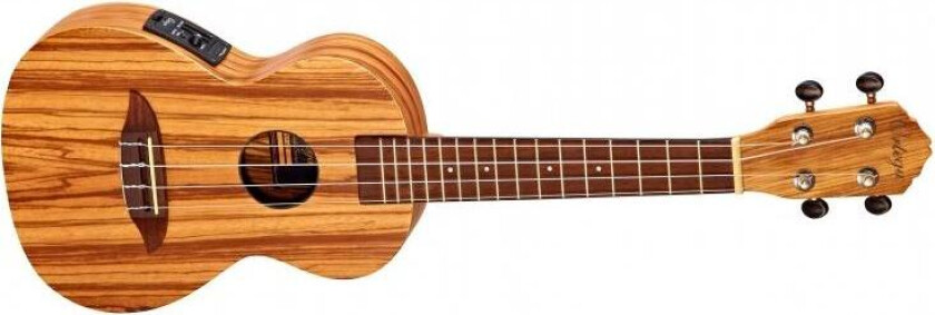 Ortega Rfu11ze Concert Ukulele Med Mik, Med Gigbag