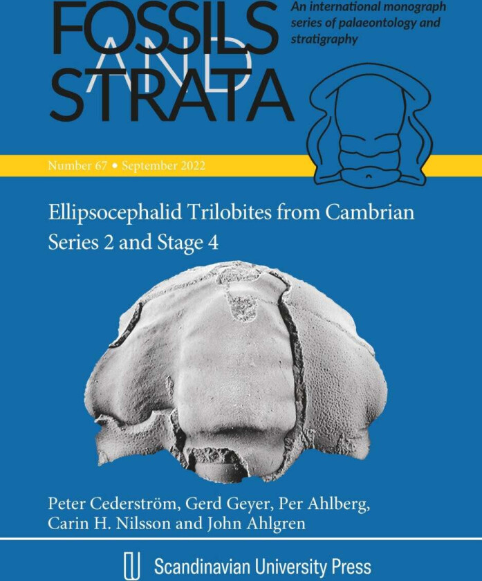 Ellipsocephalid Trilobites From Cambrian Series 2 And Stage 4, With Emphasis On The Taxonomy, Morpho Av Per Ahlberg, John Ahlgren, Peter Cederström, G