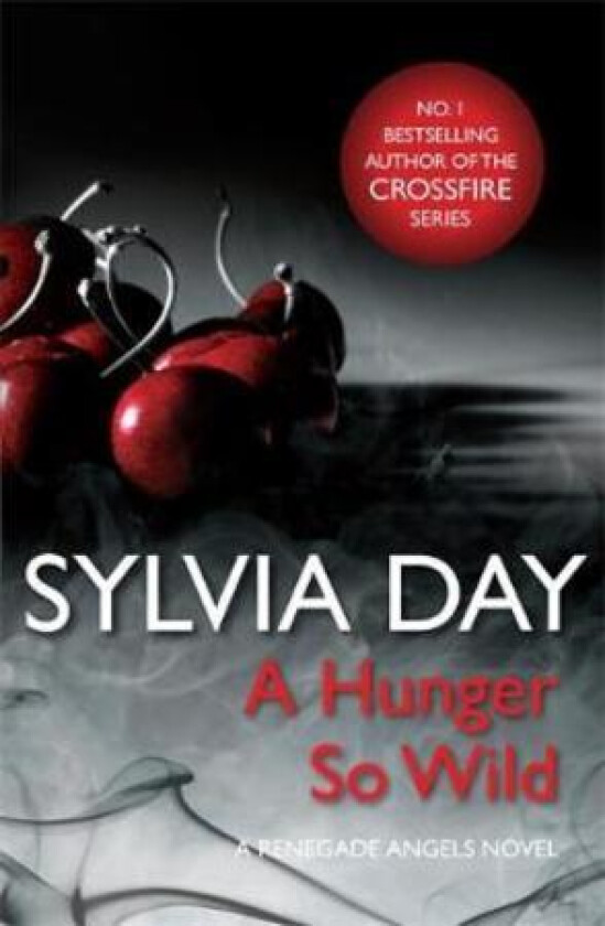 A Hunger So Wild (A Renegade Angels Novel) Av Sylvia Day