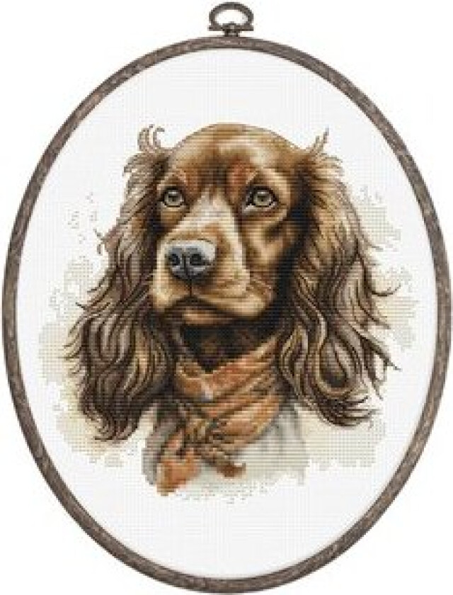 Broderipakke Bilde Cocker Spaniel