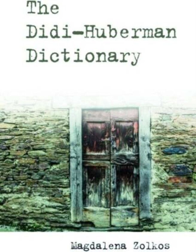 The Didi-Huberman Dictionary