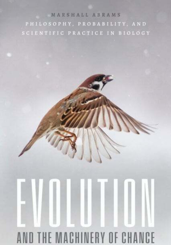 Evolution and the Machinery of Chance av Marshall Abrams