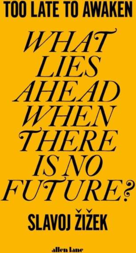 Too Late to Awaken av Slavoj Zizek