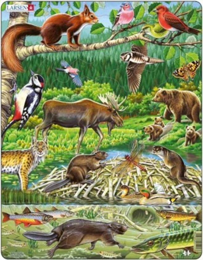 Nordic Forest (45 pcs)