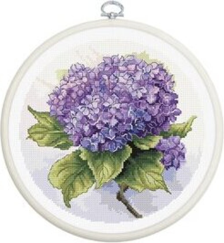 Broderipakke Bilde Hortensia