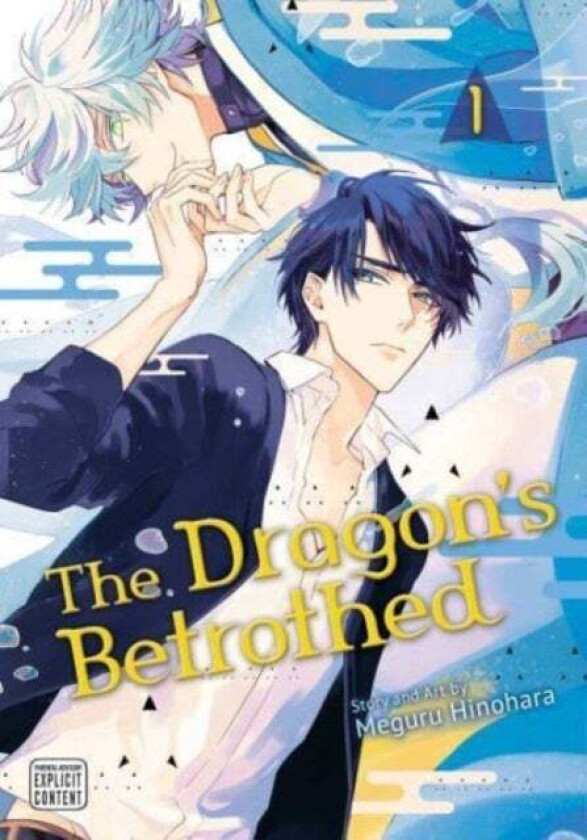 The Dragon'S Betrothed, Vol. 1 Av Meguru Hinohara