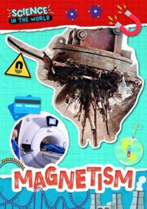 Magnetism Av Joanna Brundle