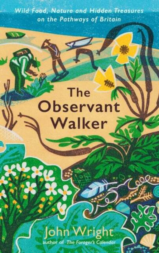 The Observant Walker Av John Wright