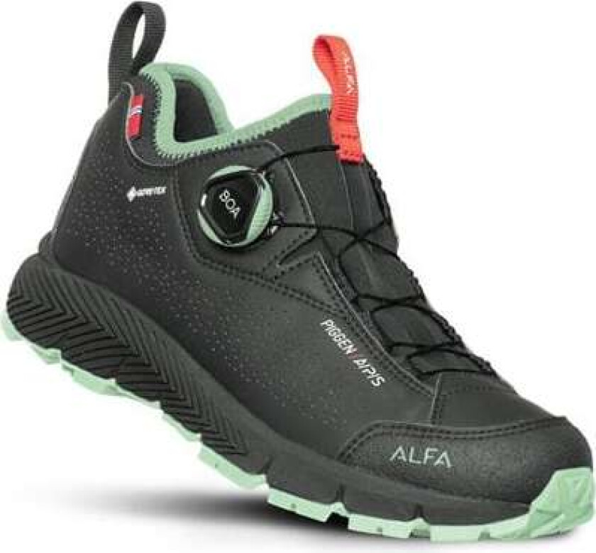 Piggen A/p/s GTX Black Dame 38