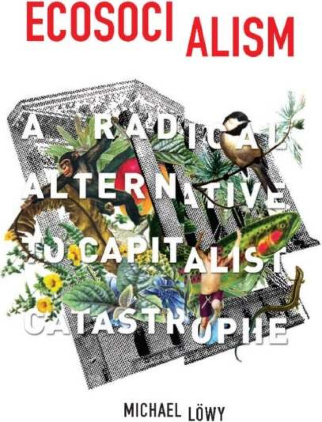 Ecosocialism av Michael Lowy