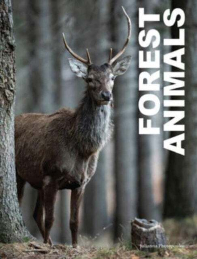 Forest Animals Av Julianna Photopoulos
