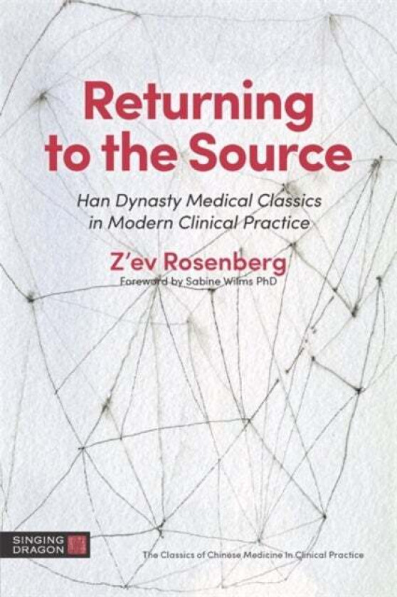 Returning to the Source av Z'ev Rosenberg