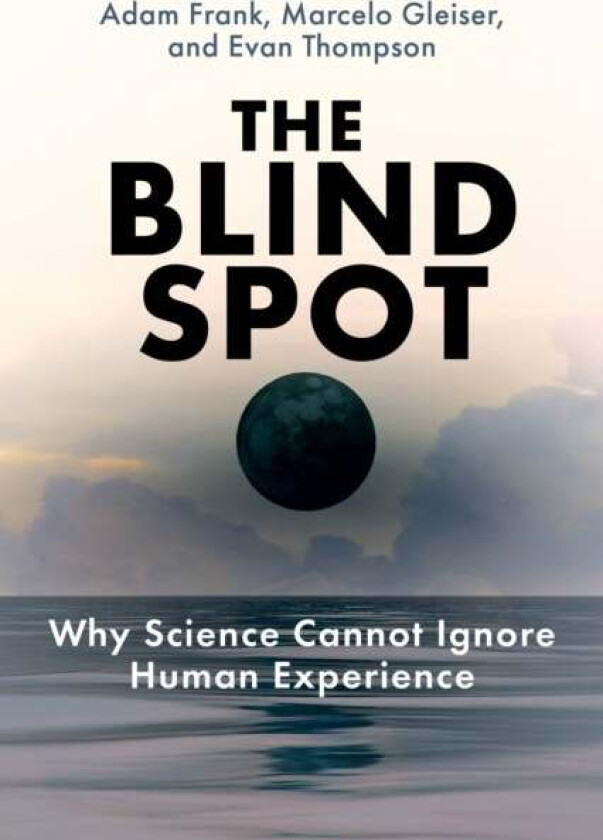 The Blind Spot Av Adam Frank, Marcelo Gleiser