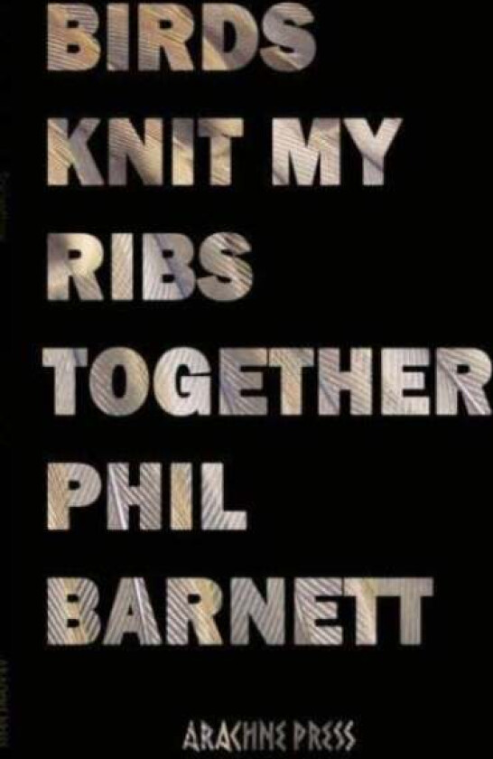 Birds Knit My Ribs Together av Phil Barnett