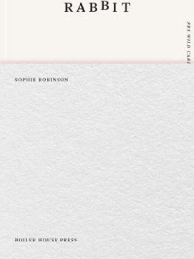 Rabbit av Sophie Robinson