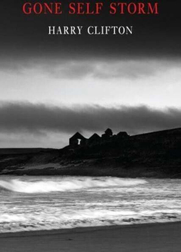 Gone Self Storm av Harry Clifton