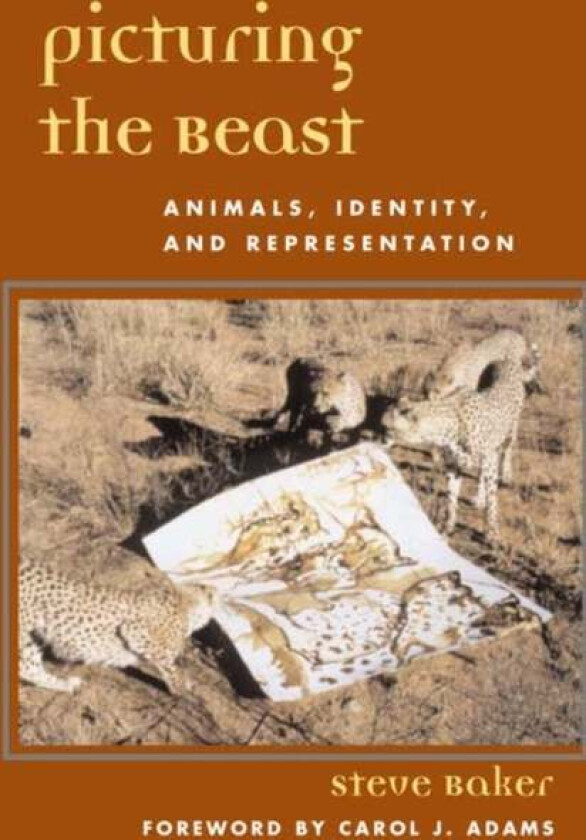 Picturing the Beast av Steve Baker