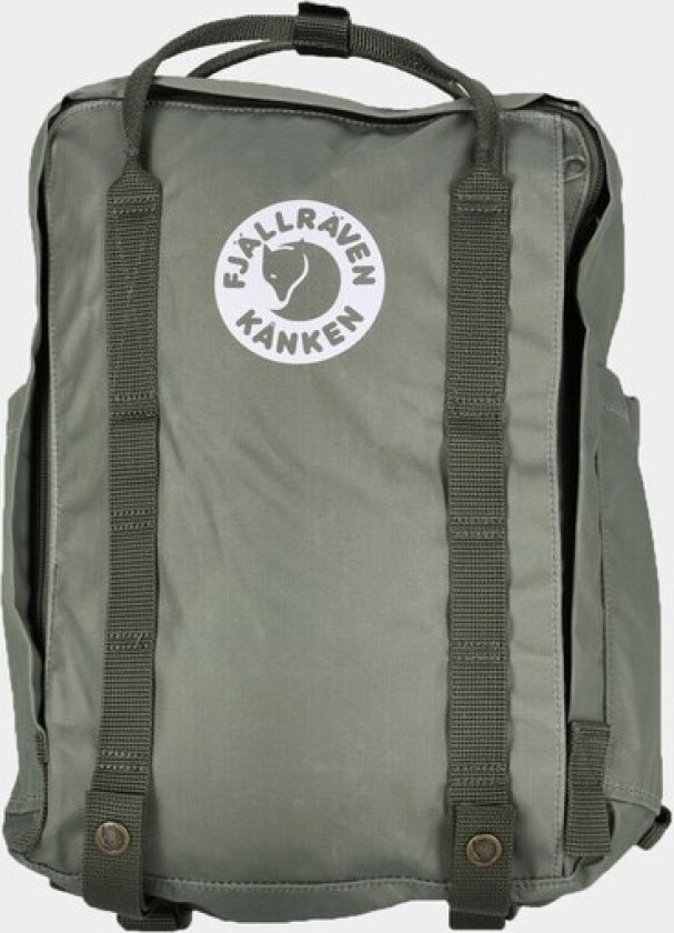 Tree-Kånken Lichen Green