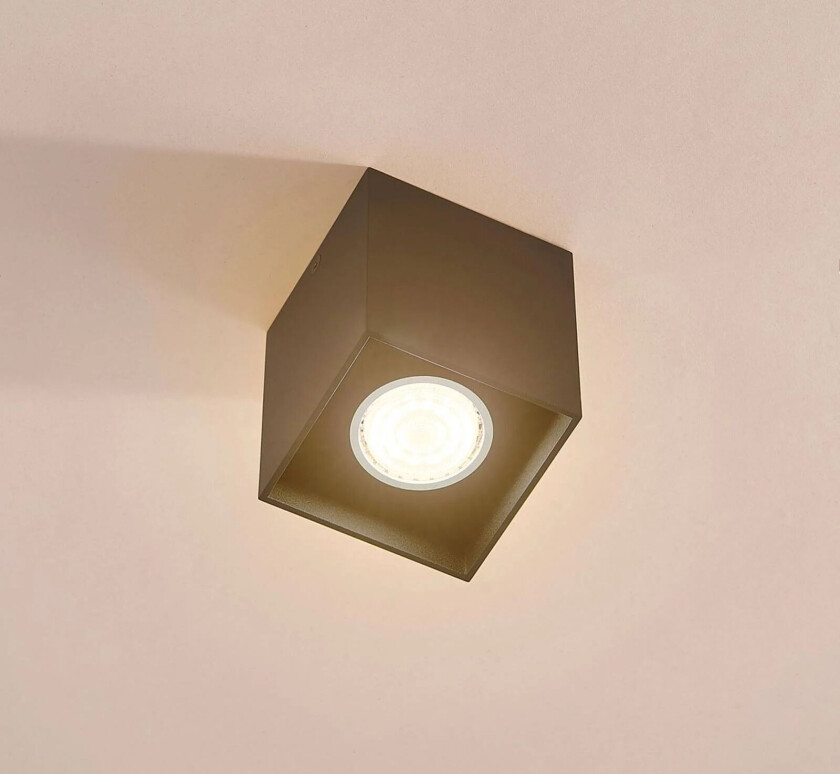 Carson - utenpåliggende takspot i svart