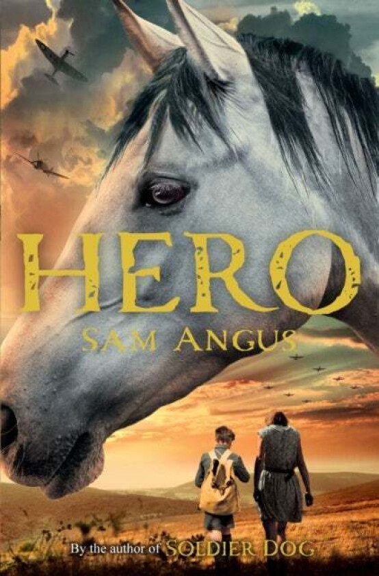 A Horse Called Hero av Sam Angus