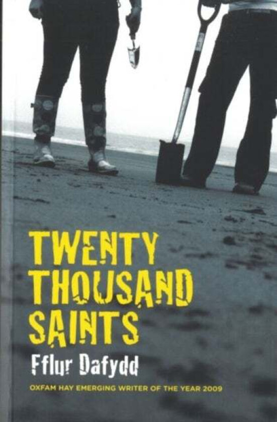 Twenty Thousand Saints av Fflur Dafydd